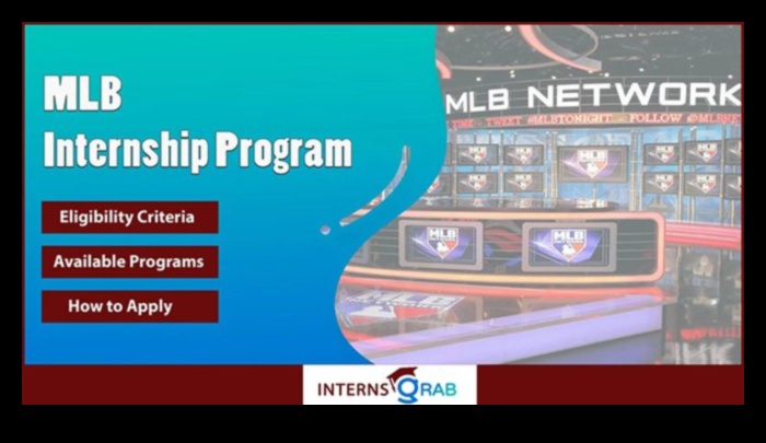 how to apply for mlb summer internship