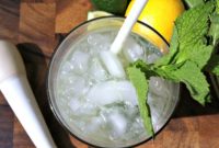 Zesty Lemon-Lime Vodka Refresher
