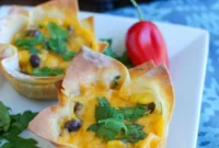 Fiesta Hummus Wonton Bites