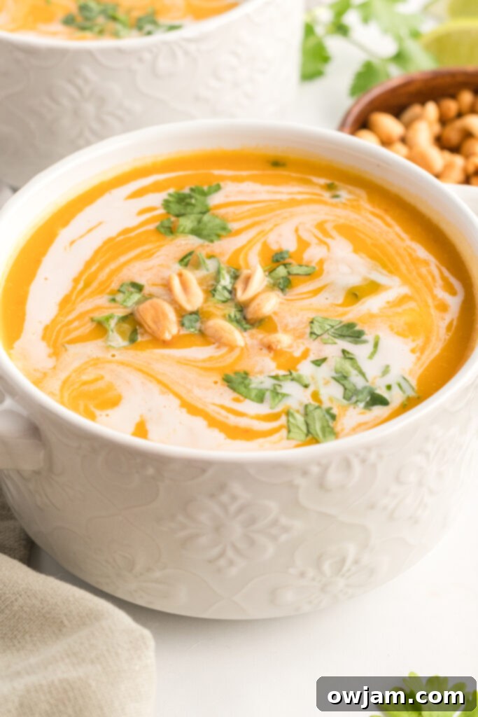 Golden Curry Butternut Squash Soup 2 Butternut Squash Soup in white bowl with garnishes, perfect for a fall recipe