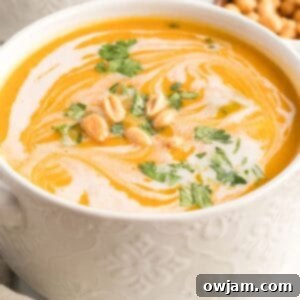 Golden Curry Butternut Squash Soup 9 Curried Butternut Squash Soup 1200 x 1200