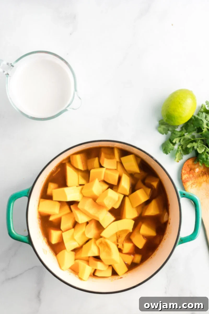 Golden Curry Butternut Squash Soup 6 Curried Butternut Squash Soup with squash added to the pot