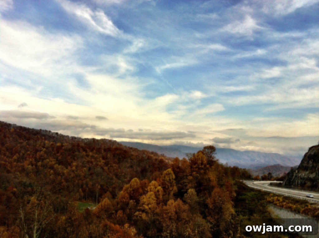 Family enjoying the scenic beauty of Tennessee's Smoky Mountains during Thanksgiving