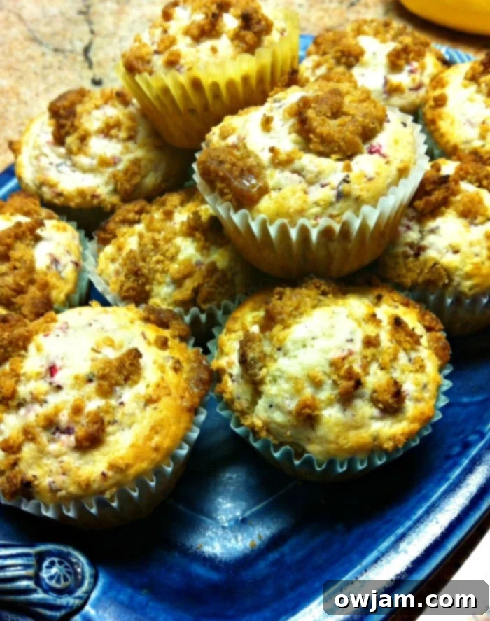 Delicious Cranberry Muffins with Cinnamon Streusel Topping