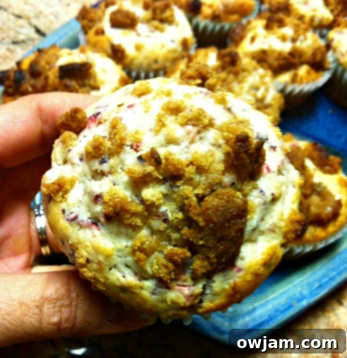 Freshly baked Cranberry Muffins cooling on a wire rack