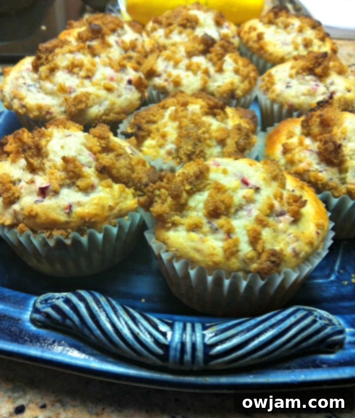 Close-up of a Cranberry Muffin showing streusel topping