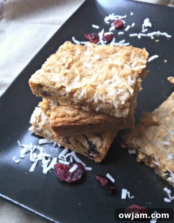 Close-up of Chewy Coconut Cranberry Oatmeal Bars, showing texture