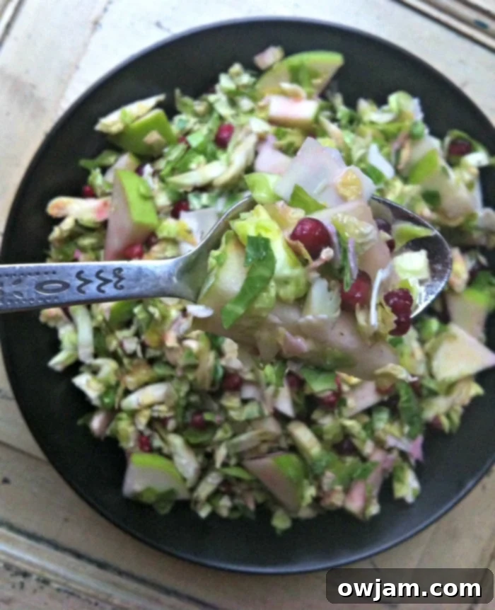 Crisp Shaved Brussels Sprout Salad with Apple and Pomegranate 2 Delicious Shaved Brussels Sprout Salad with Apple and Pomegranate, presented beautifully in a serving bowl.