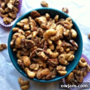 Sweet Heat Nut Medley 6 Sweet and Spicy Nut Mix
