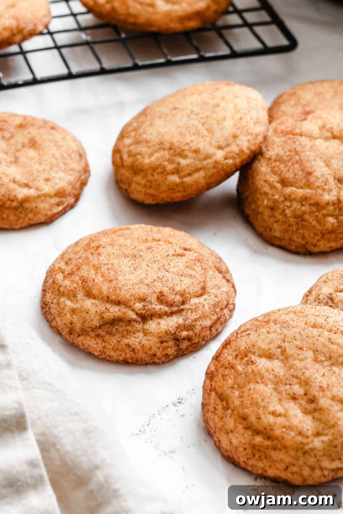 Quick and Easy Snickerdoodle Recipe 2 Easy Snickerdoodle Cookies arranged on white paper, showcasing their crinkled, cinnamon-sugar coated tops and soft texture.