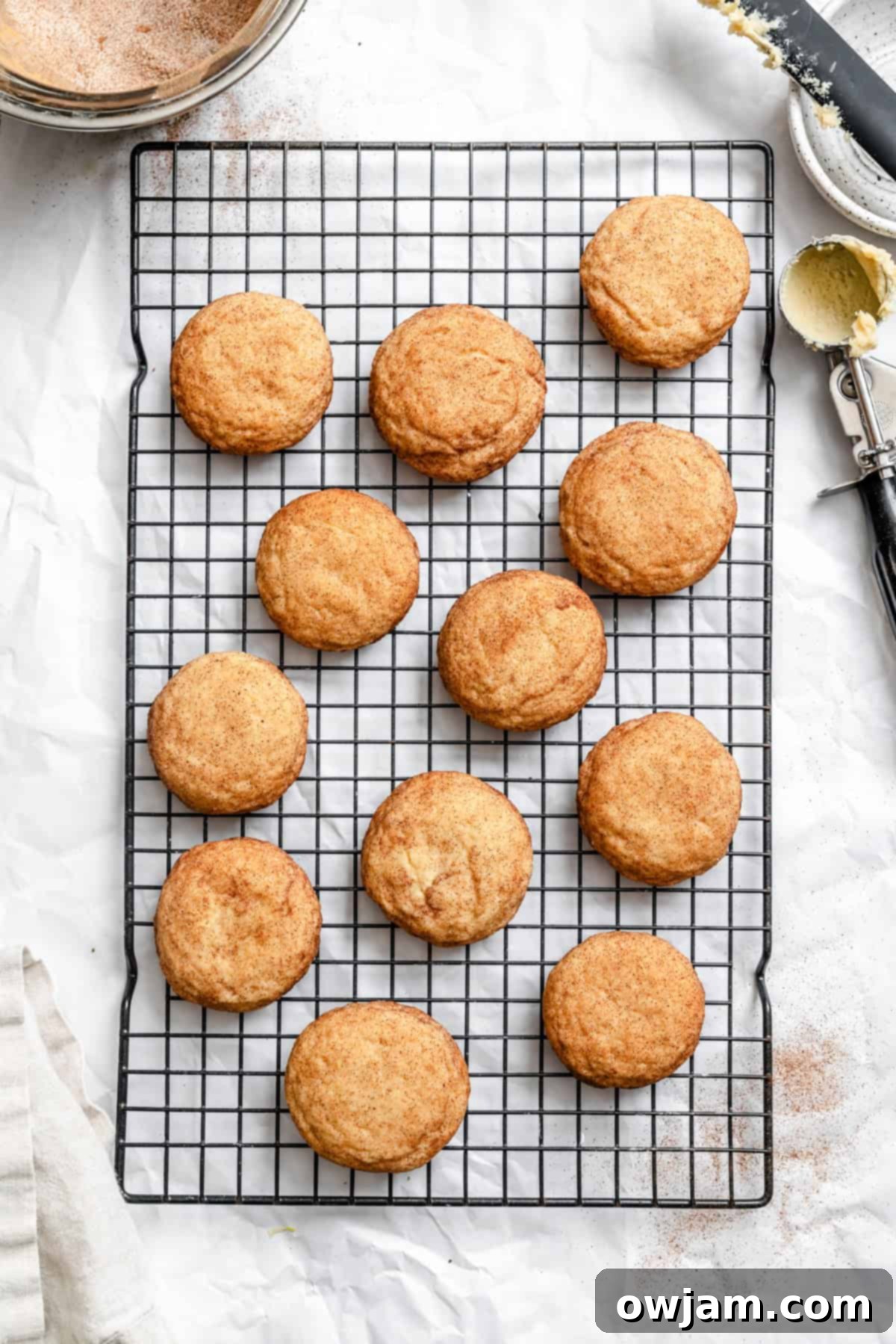 Quick and Easy Snickerdoodle Recipe 11 Freshly baked Easy Snickerdoodle Cookies on a baking sheet, with golden edges and soft centers.