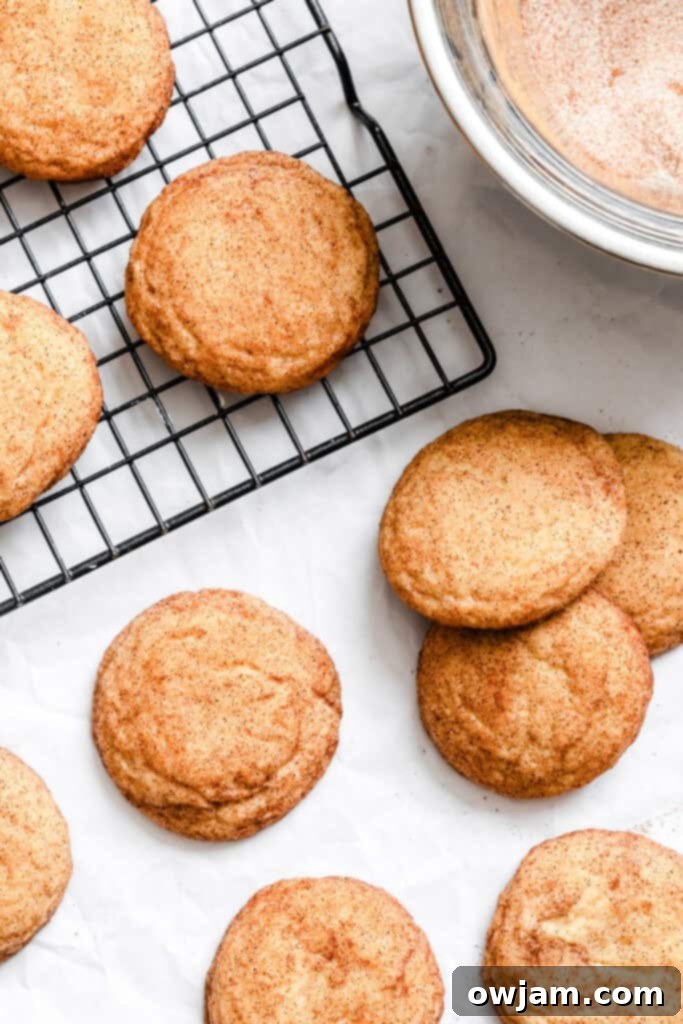 Quick and Easy Snickerdoodle Recipe 13 A batch of Easy Snickerdoodle Cookies cooling on a wire rack after baking.