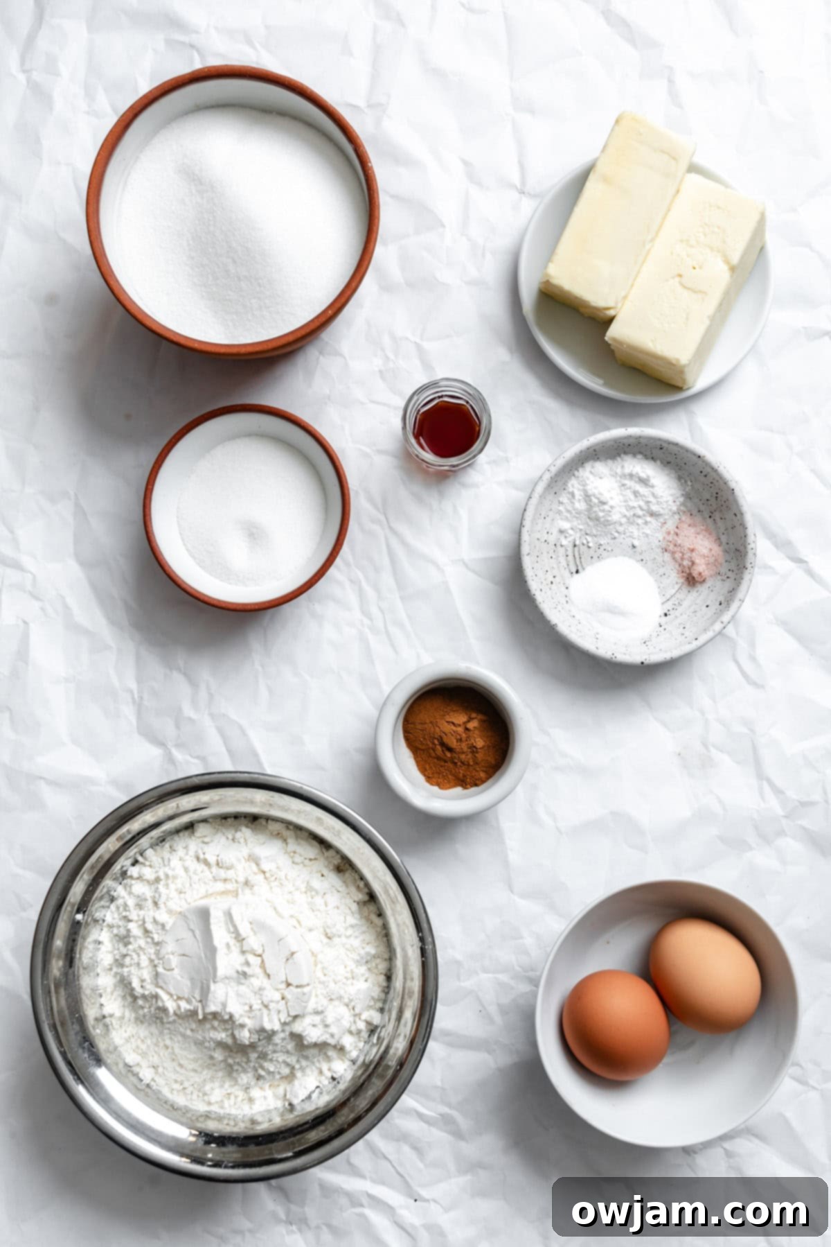 Quick and Easy Snickerdoodle Recipe 3 Collection of fresh ingredients for Easy Snickerdoodle Cookies, including butter, sugar, eggs, flour, and cinnamon, ready for baking.