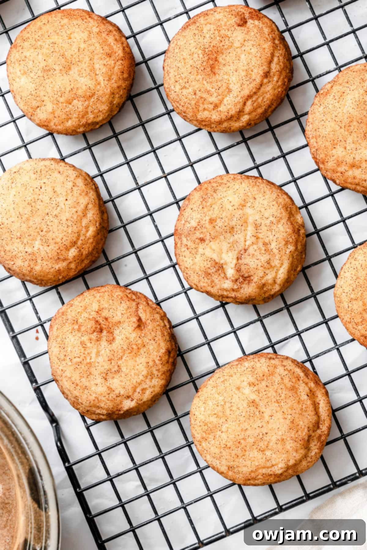 Quick and Easy Snickerdoodle Recipe 4 Freshly baked Easy Snickerdoodle Cookies cooling on a wire rack, showing their golden edges and soft, crinkled centers.