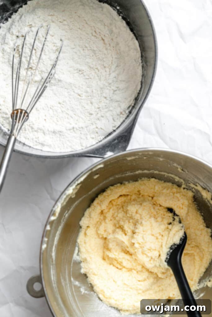 Quick and Easy Snickerdoodle Recipe 7 The process of combining wet and dry ingredients to form snickerdoodle dough in a mixing bowl.