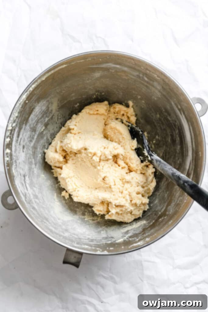 Quick and Easy Snickerdoodle Recipe 9 Scoops of snickerdoodle dough ready to be rolled in cinnamon sugar.