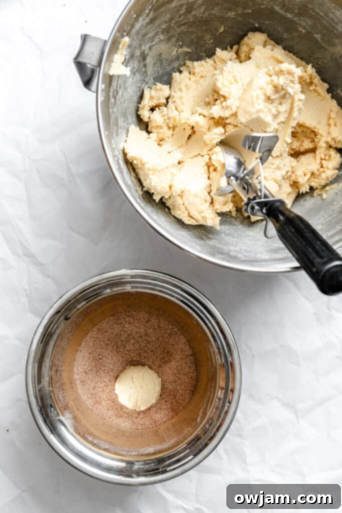 Quick and Easy Snickerdoodle Recipe 10 Snickerdoodle dough balls being rolled in cinnamon sugar for coating.