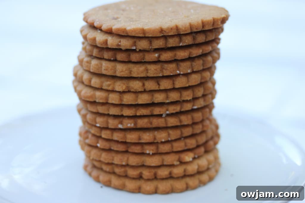 Ginger Snaps - 26 Delicious Holiday Treats