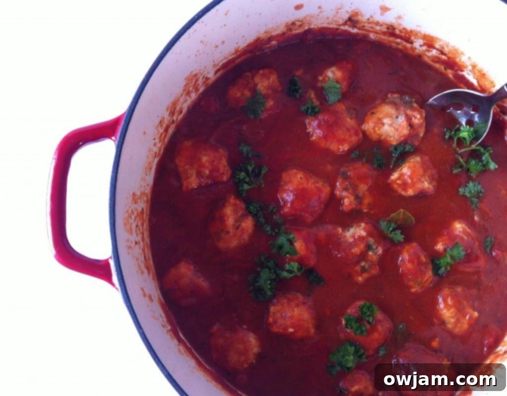 Turkey and carrot Meatballs-1-1024x800