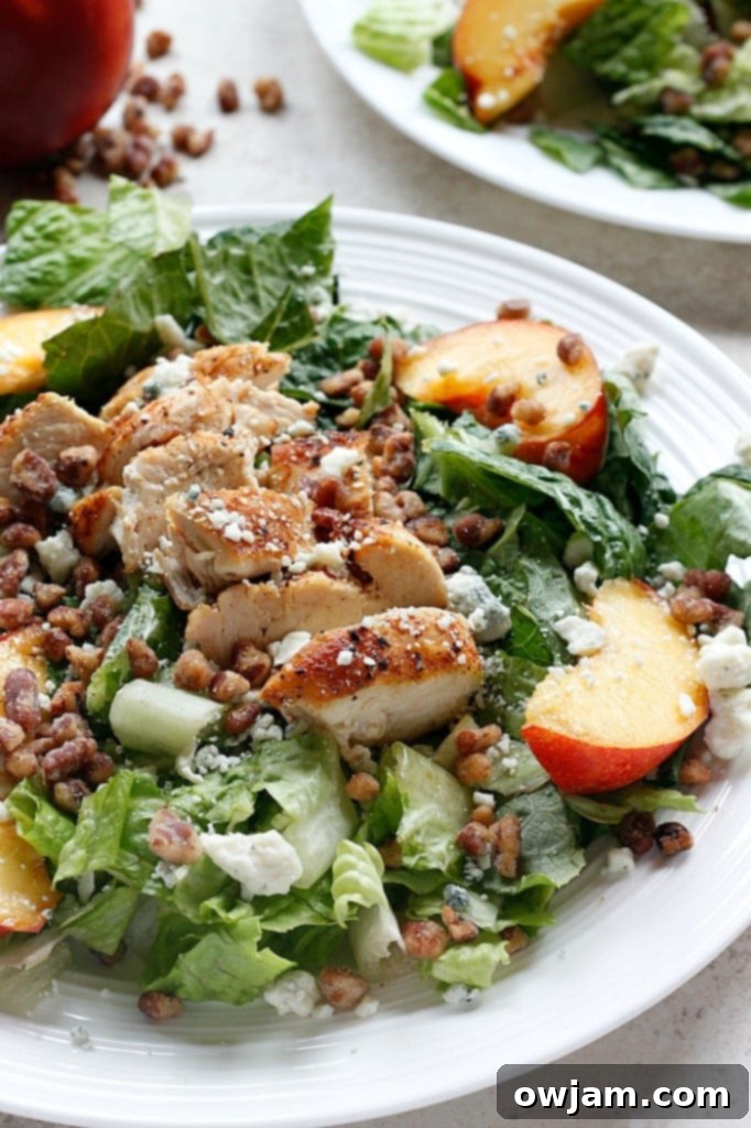Grilled Chicken, Nectarine, and Gorgonzola Salad 4 Close-up of Chicken, Nectarine and Gorgonzola Salad with dressing