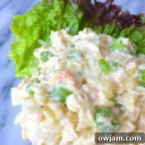 Guilt-Free Chicken Salad 4 Lightened Chicken Salad made with yogurt and Dijon, perfect for a healthy and quick meal.