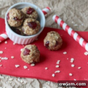 Peanut Butter and Jelly No-Bake Snack Bites 5 Peanut Butter and Jelly No-Bake Snack Bites