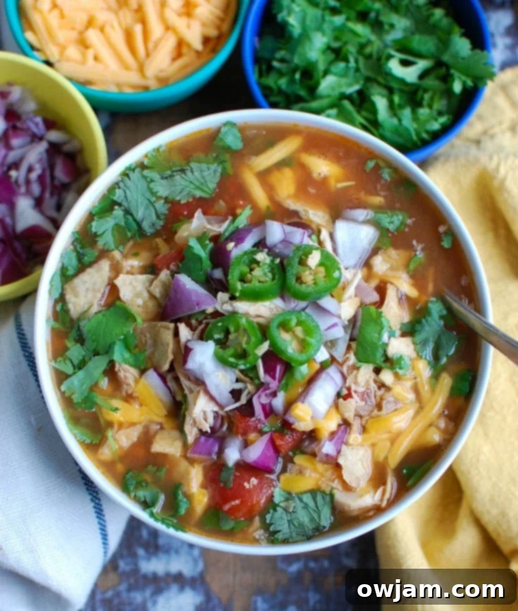 Hearty Slow Cooker Chicken Tortilla Soup 4 Slow Cooker Chicken Tortilla Soup with spoon