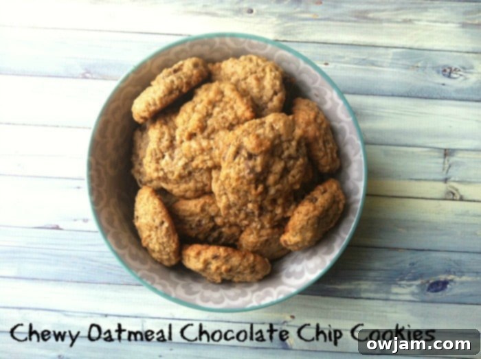 Warm, freshly baked chewy oatmeal chocolate chip cookies on a cooling rack, some stacked