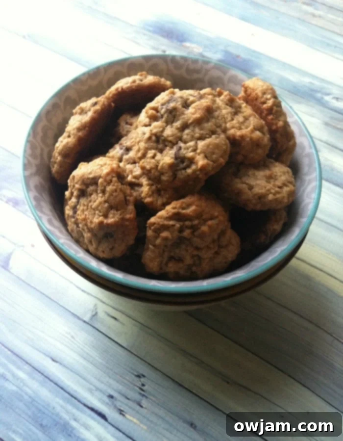 Close-up view of two chewy oatmeal chocolate chip cookies, one broken to show its soft interior