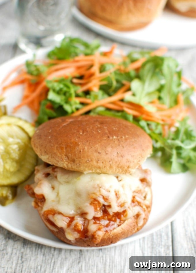 Ultimate Turkey Sloppy Joes 2 Turkey Sloppy Joes with bun