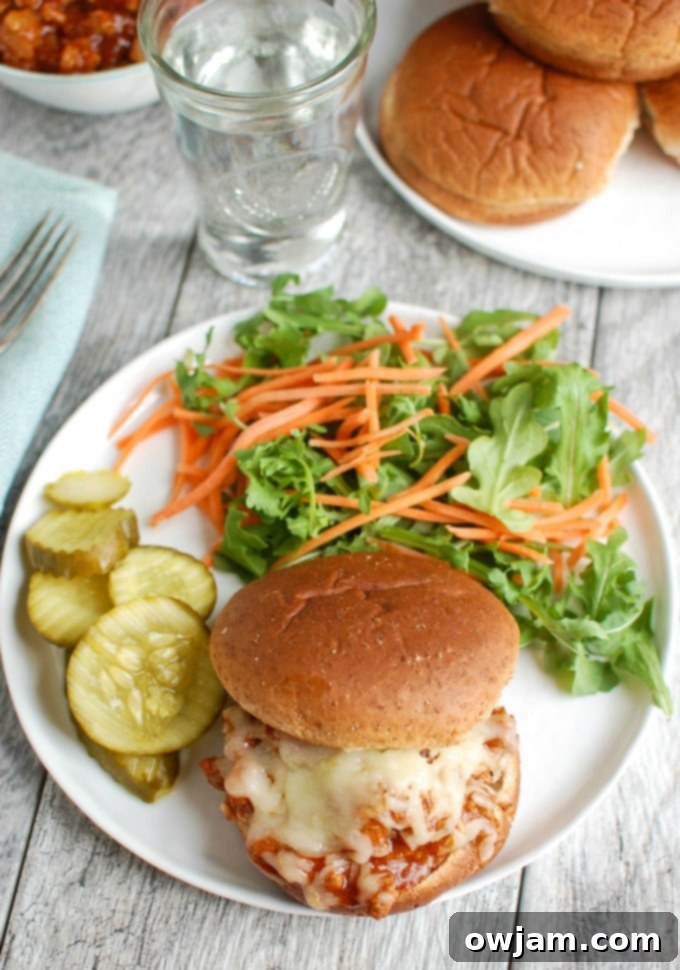 Ultimate Turkey Sloppy Joes 3 Turkey Sloppy Joes with a salad