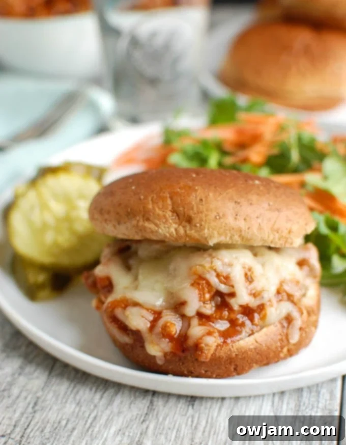 Ultimate Turkey Sloppy Joes 5 Turkey Sloppy Joes on a plate