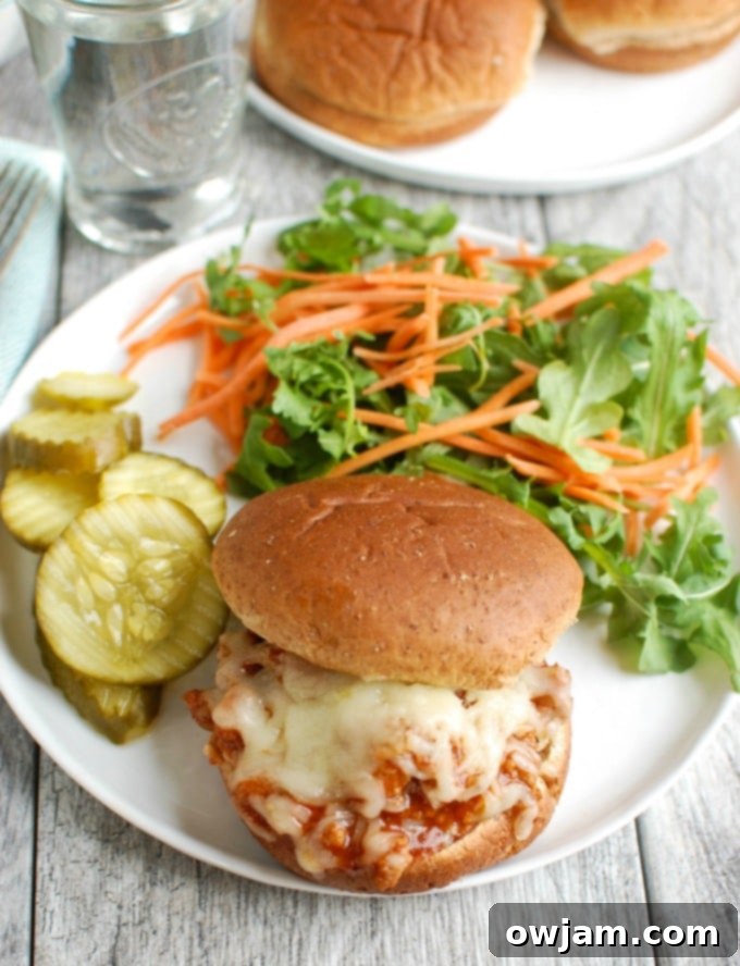 Ultimate Turkey Sloppy Joes 6 img 10937 5