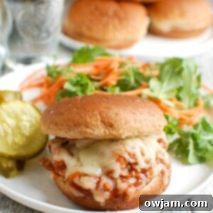 Ultimate Turkey Sloppy Joes 8 Turkey Sloppy Joes with salad