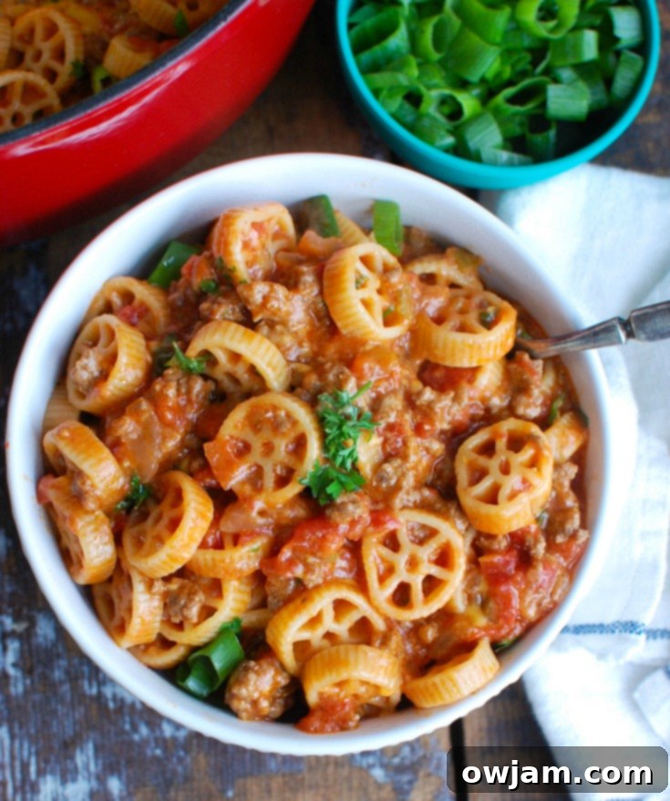 A large serving of homemade One Skillet Cheesy Hamburger Pasta, ready to be enjoyed, showing its hearty and comforting appeal for family meals.