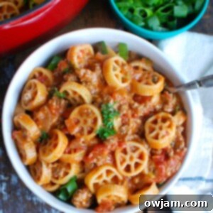 One Skillet Cheesy Hamburger Pasta, a comforting and easy one-pot meal for families, featuring ground beef, pasta, and two types of cheese.