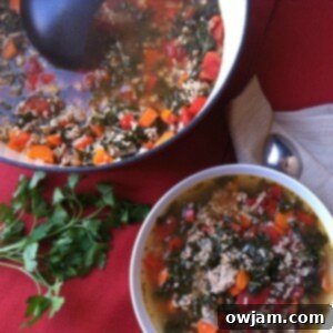 Close-up of Turkey Kale and Brown Rice Soup, showing the texture and hearty ingredients