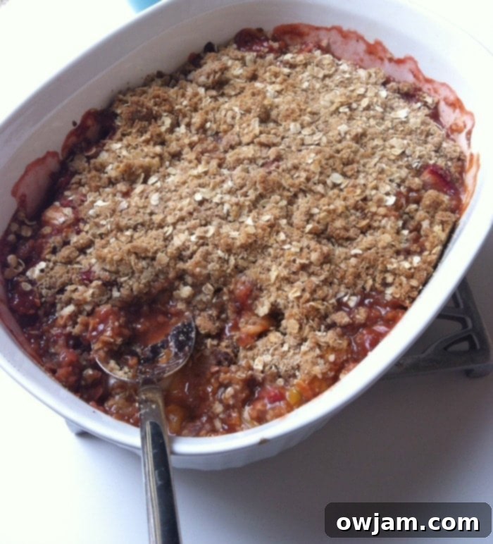 Strawberry Rhubarb Crisp - ready to serve