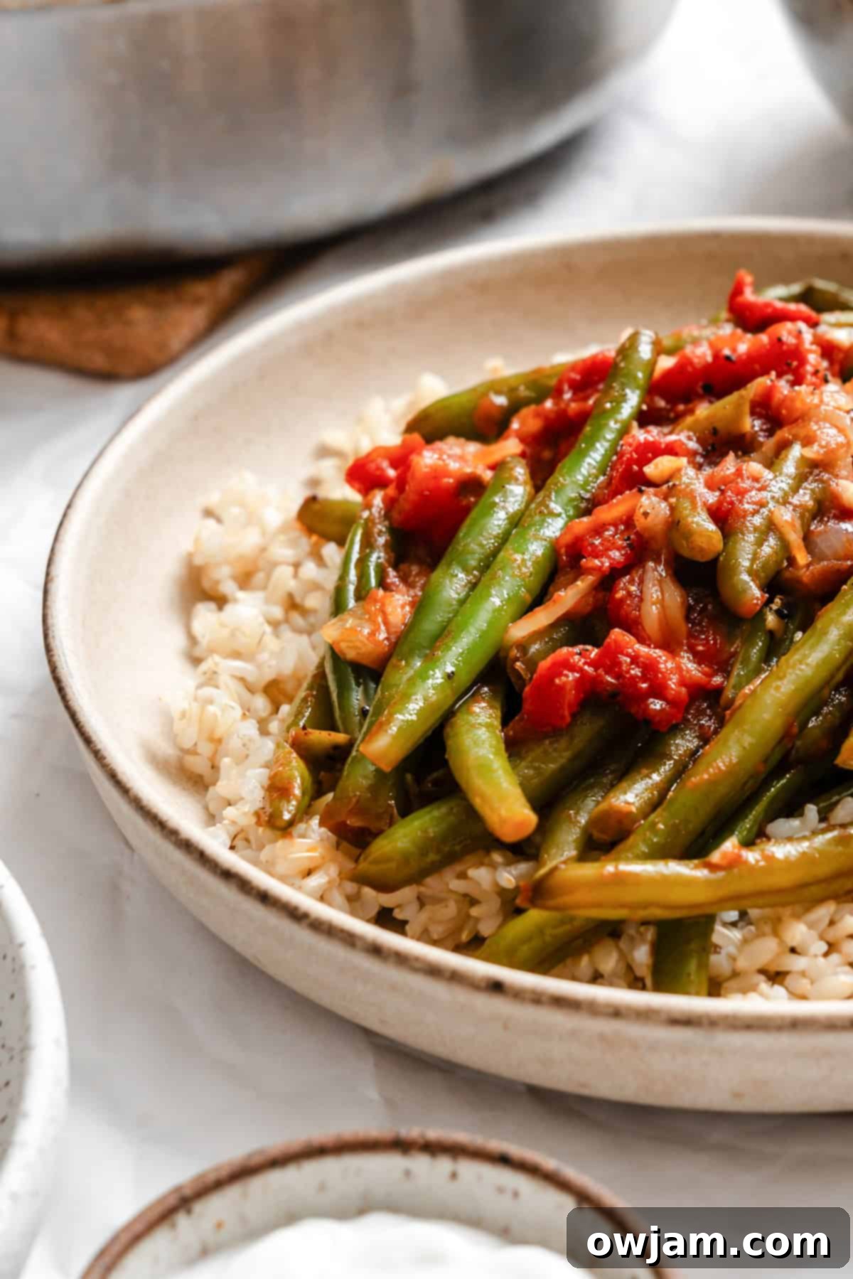 Lebanese Green Bean Stew 2 A vibrant bowl of Lebanese Green Beans, or Lubee Bi Zeit, garnished with fresh herbs, ready to be enjoyed.
