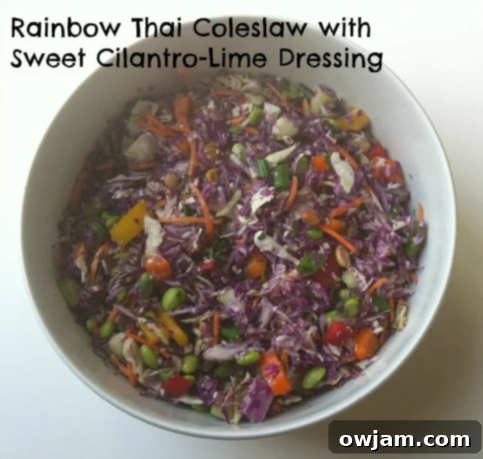 Rainbow Thai Coleslaw with Sweet Cilantro-Lime Dressing