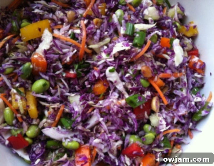 Rainbow Thai Coleslaw with Sweet Cilantro-Lime Dressing