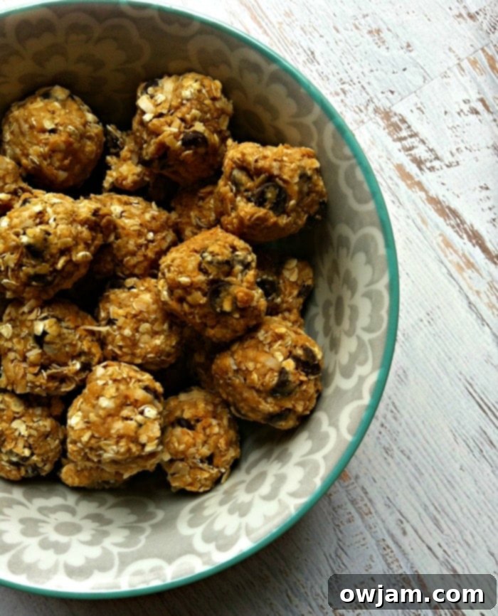Delicious Peanut Butter Coconut Oatmeal Bites in a white bowl, ready to be enjoyed as a healthy snack.