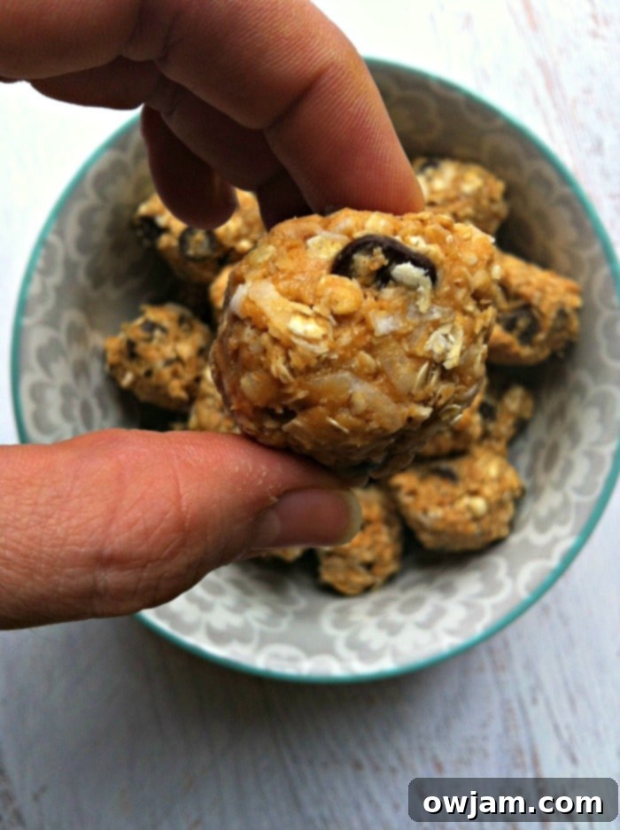 A hand holding a single Peanut Butter Coconut Oatmeal Bite, showcasing its texture and ready-to-eat appeal.