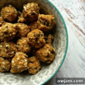 Peanut Butter Coconut Oatmeal Bites recipe card image