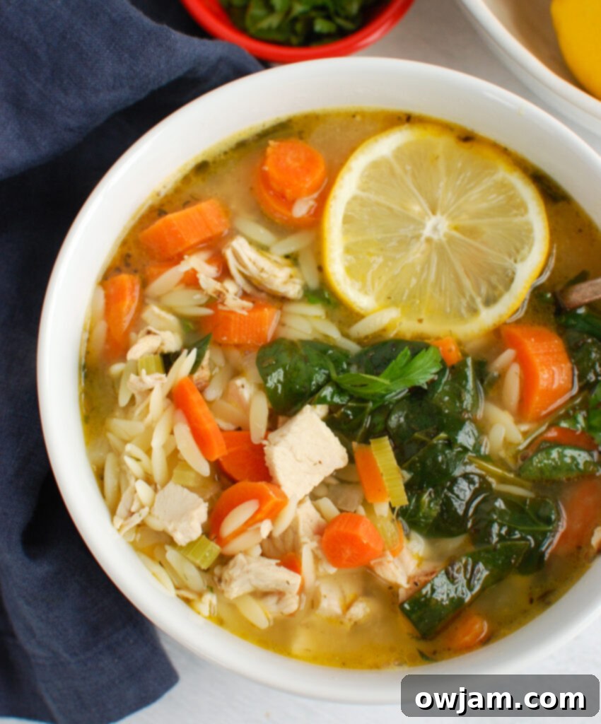 Bright Lemon Chicken Orzo Soup 2 Lemon Chicken Orzo Soup in white bowl