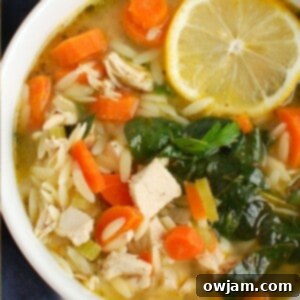 Bright Lemon Chicken Orzo Soup 9 Lemon Chicken Orzo Soup 1200 x 1200