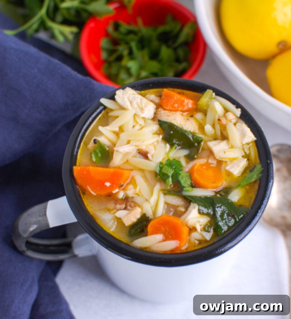 Bright Lemon Chicken Orzo Soup 3 Lemon Chicken Orzo Soup in White Cup
