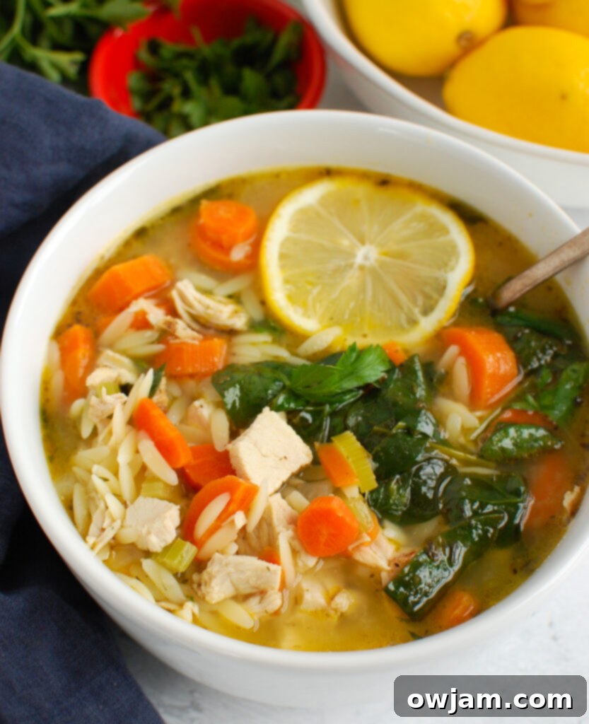 Bright Lemon Chicken Orzo Soup 5 Lemon Chicken Orzo Soup with a spoon