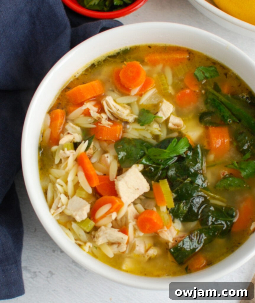 Bright Lemon Chicken Orzo Soup 6 Lemon Chicken Orzo Soup with parsley