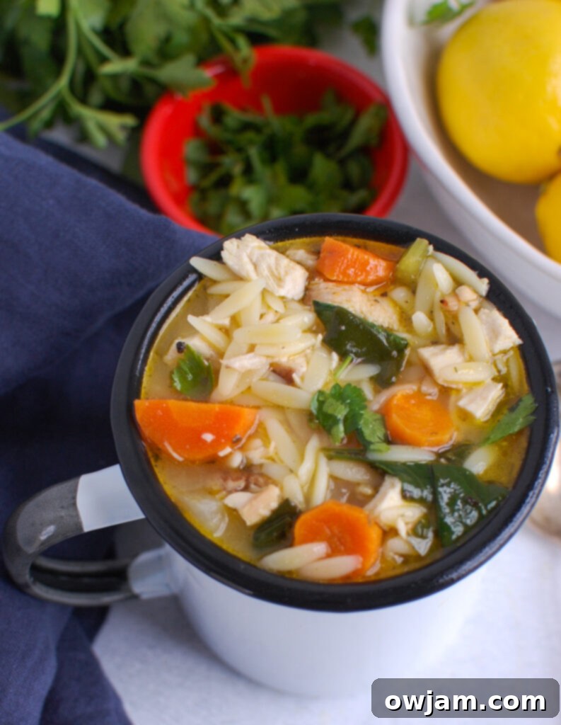 Bright Lemon Chicken Orzo Soup 8 Lemon Chicken Orzo Soup in cup